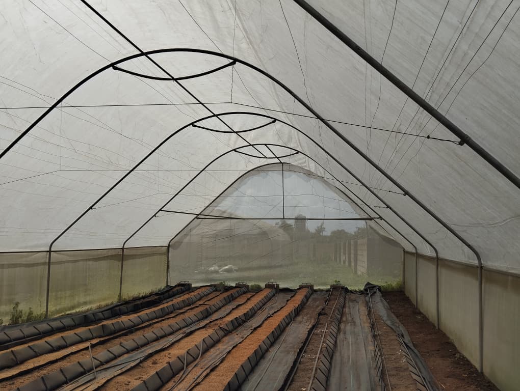 The inside of an empty Jamdaagro polytunnel with soil beds shaped and irrigation laid, ready for planting