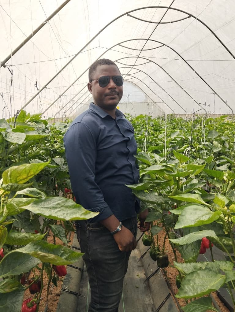 A member of the Jamdaagro team standing between rows of pepper plants inside one of the greenhouses
